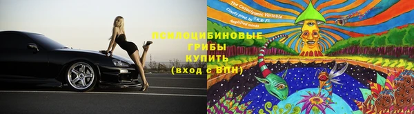 трава Заводоуковск