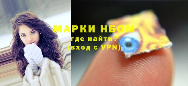 прущие грибы Елабуга