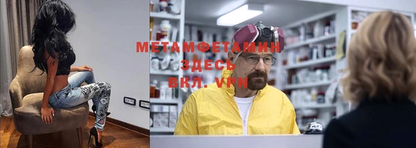 стаф Ельня