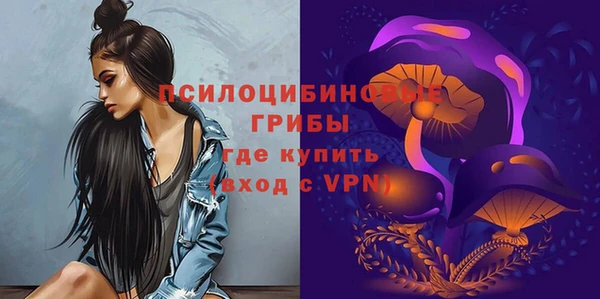 кокс Елизово