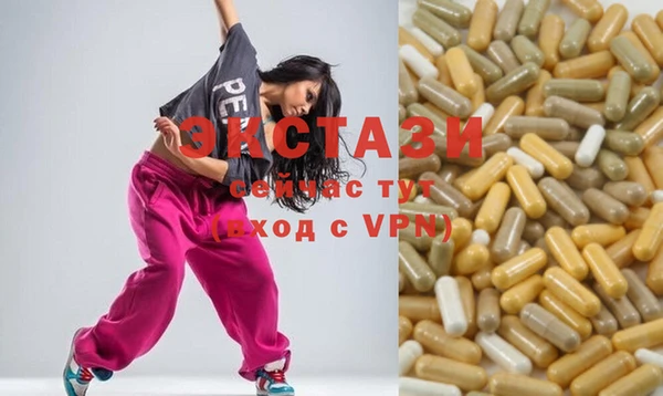 стаф Ельня